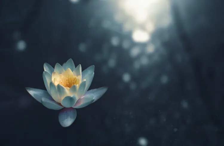 SATSANG