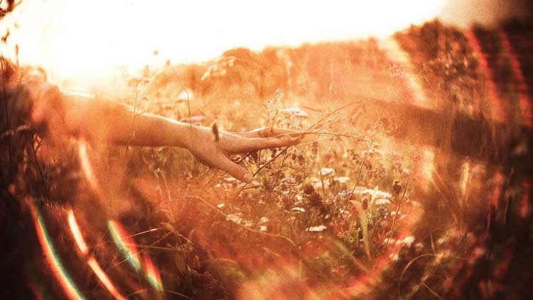 Har du hørt om Tong-Ren og Soul Body Fusion?